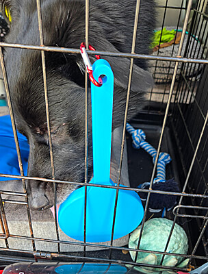 Hanging in crate for dog