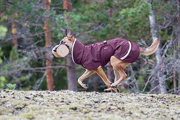 Perus Pomppa Weatherproof Winter Dog Coats - Discontinued Colors