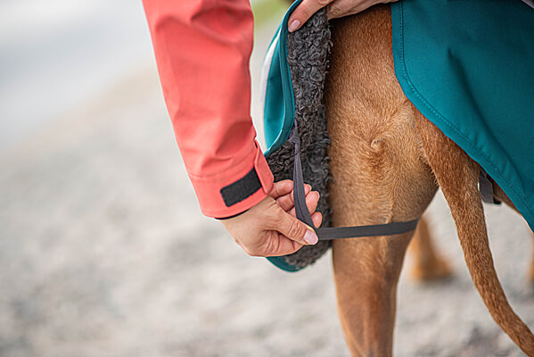 Leg straps - only on Trail color