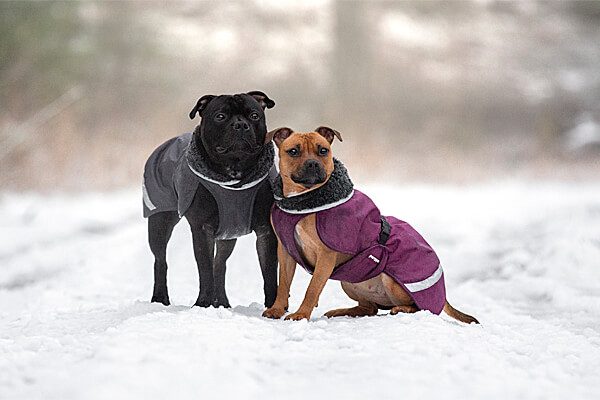 Perus Pomppa Weatherproof Winter Dog Coats - Discontinued Colors