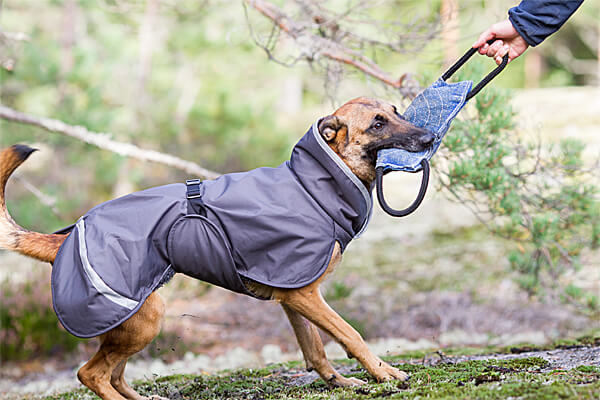 Toppa Pomppa Insulated Winter Dog Coats - Clean Run
