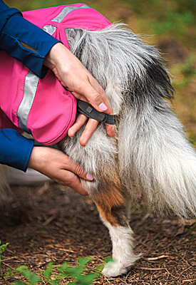 Detachable and adjustable leg straps