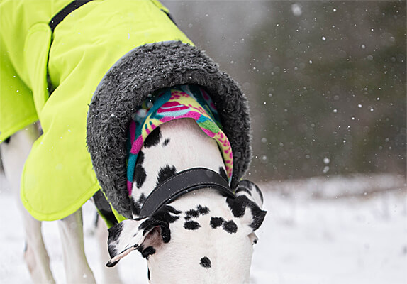 Perus Pomppa over Jumppa Pomppa