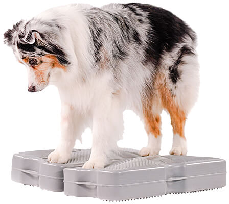 Use two platforms at a time