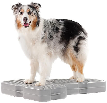 Use two platforms at a time