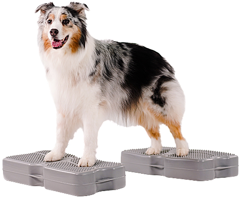 Use two platforms at a time