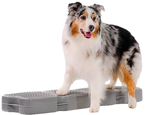 Use two platforms at a time