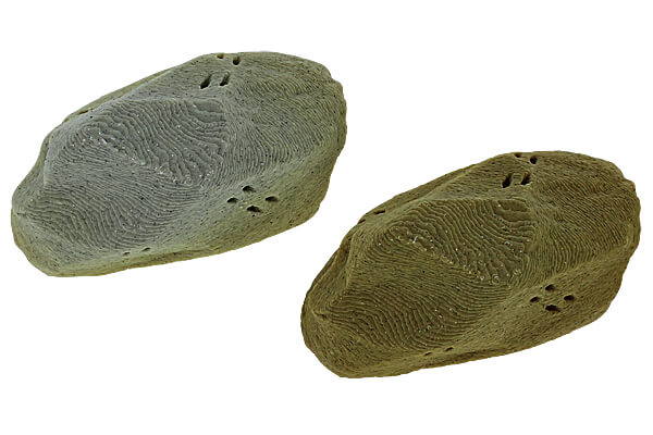 Top view of several rocks made with Greenschist filament