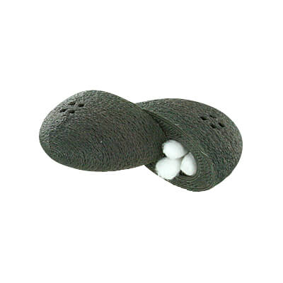 Holds multiple Q-tip heads