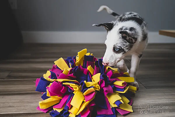 Snuffle Mat + Free Salmon Training Treats | Pupford