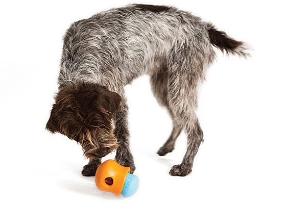 Best Food Toy for Your Puppy or Dog: Solve Behavior Problems Using a  Westpaw Toppl Toy! 