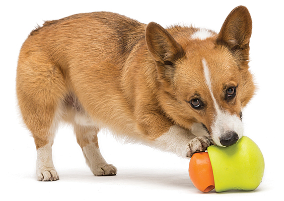 West Paw Design Zogoflex Toppl Dog Treat Puzzle Toy — Happy Dog