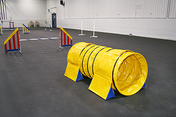 Tunnel bags sold separately