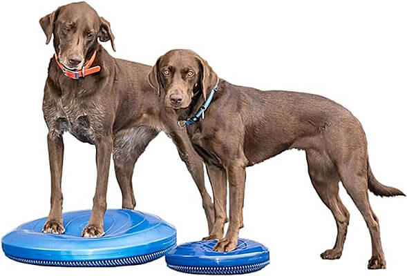 22 in. Giant Balance Disc (left) and 14 in. Balance Disc (right)
