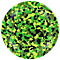 Rainforest Camo