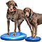 22 in. Giant Balance Disc (left) and 14 in. Balance Disc (right)
