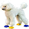Dog on small pods