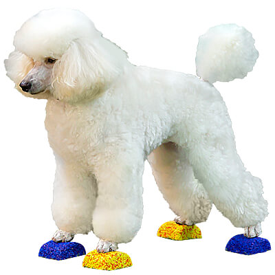 Dog on small pods